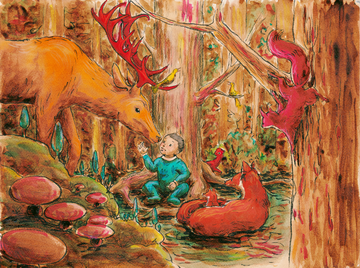 Ambroise et les animaux de la forêt